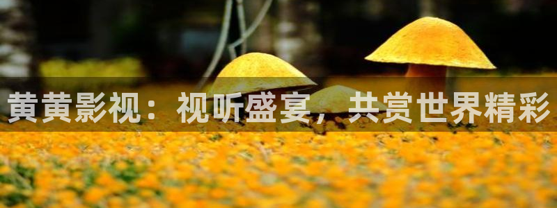 色七七影院久久综合色
