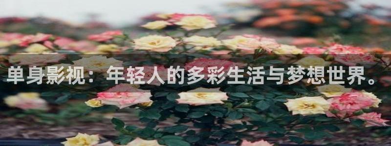 七七影视网