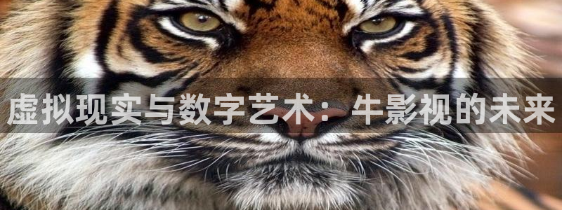 七七影视大全最新版本
